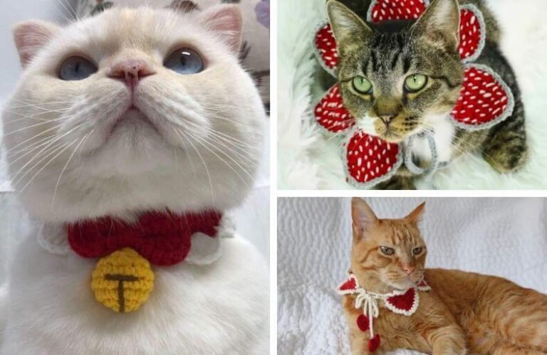 Adorable Crochet Cat Collar Patterns