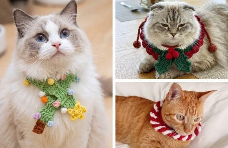 15 Festive Christmas Crochet Cat Collar Patterns Purr-fect for All Sizes! Christmas Crochet Cat Collar Patterns
