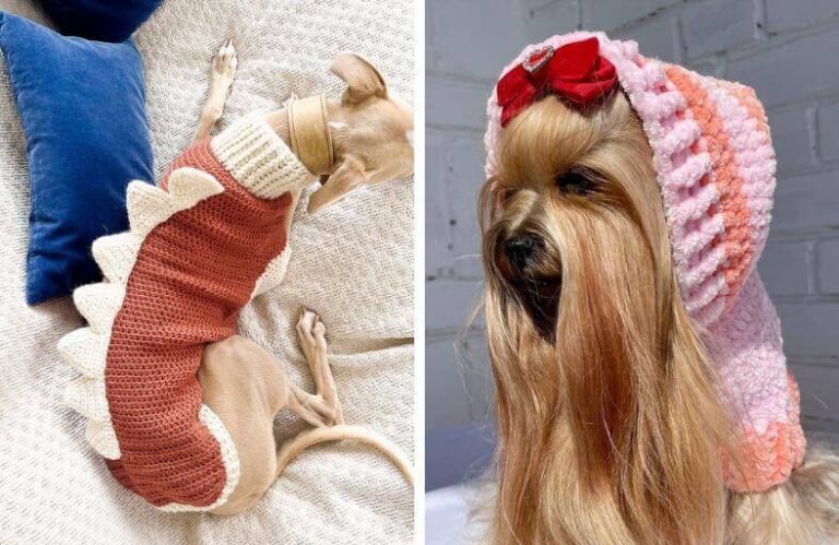 Cozy & Easy Crochet Dog Sweater Patterns