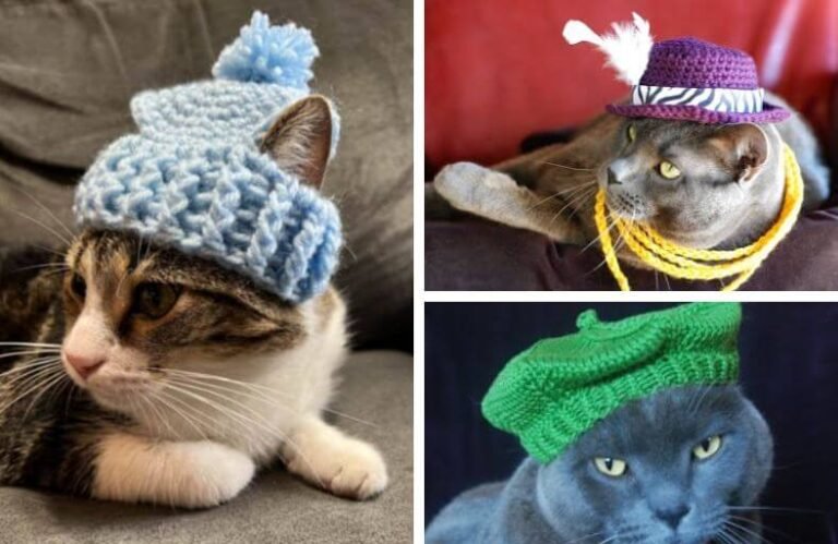 20 Adorable Crochet Cat Hat Patterns for Every Skill Level Crochet Cat Hat Patterns