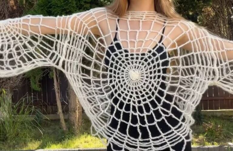 How to Crochet a Spider Web Top (Free Pattern) Crochet a Spider Web Top (Free Pattern)